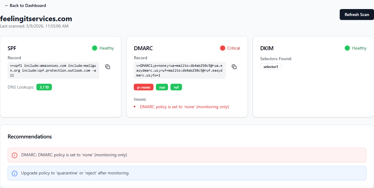 Domain detail view showing SPF and DKIM healthy status with DNS records and DMARC recommendations